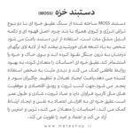 خواص سنگ عقیق خزه ای